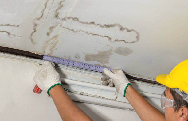 Reliable Water Damage contractor in Iowa, IA by Water Damage Irwin